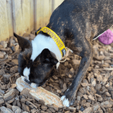 Nylon Peanut-Unclassified-Rover Pet Products