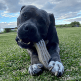 Nylon Peanut-Unclassified-Rover Pet Products