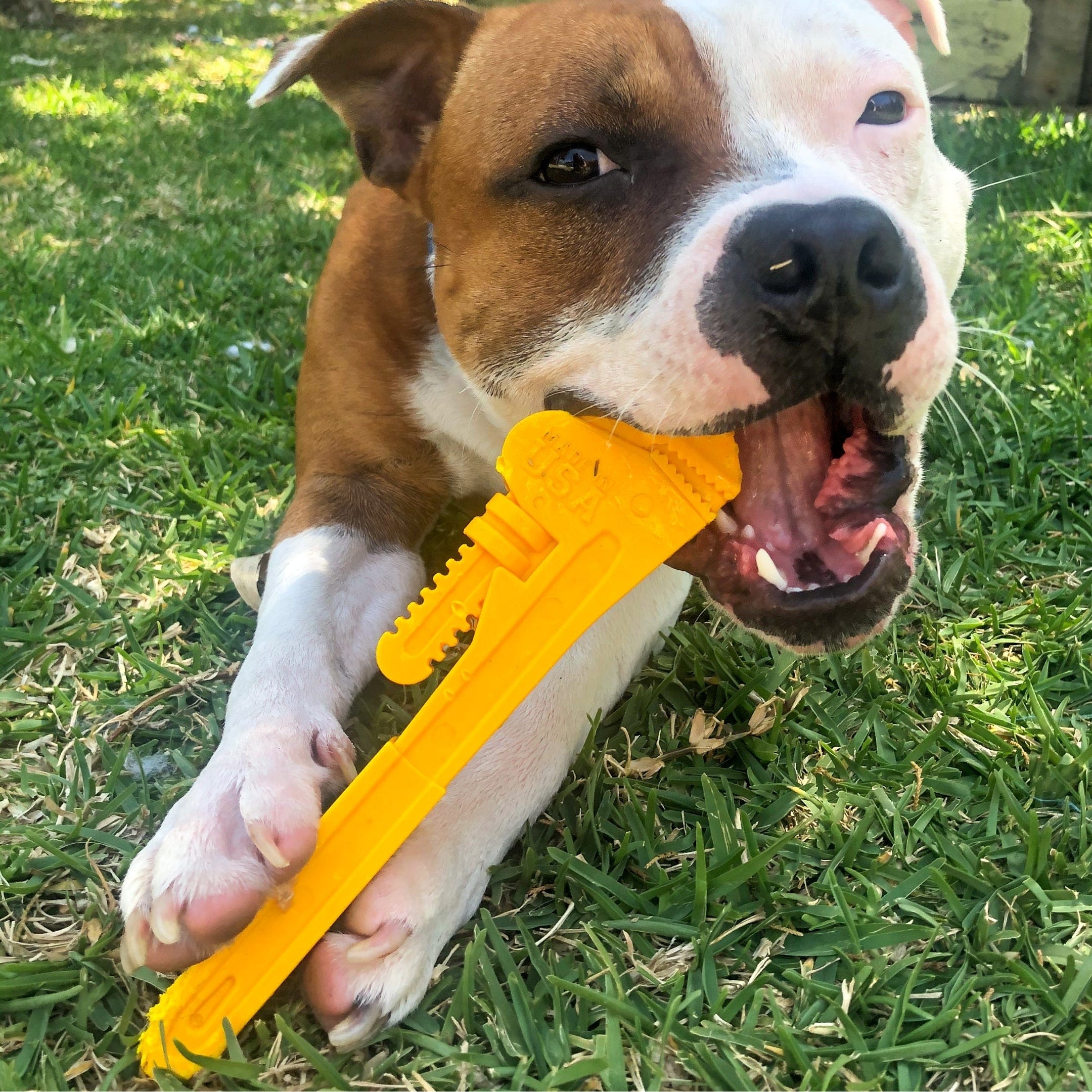 Nylon Pipe Wrench-Dog Toy-Rover Pet Products