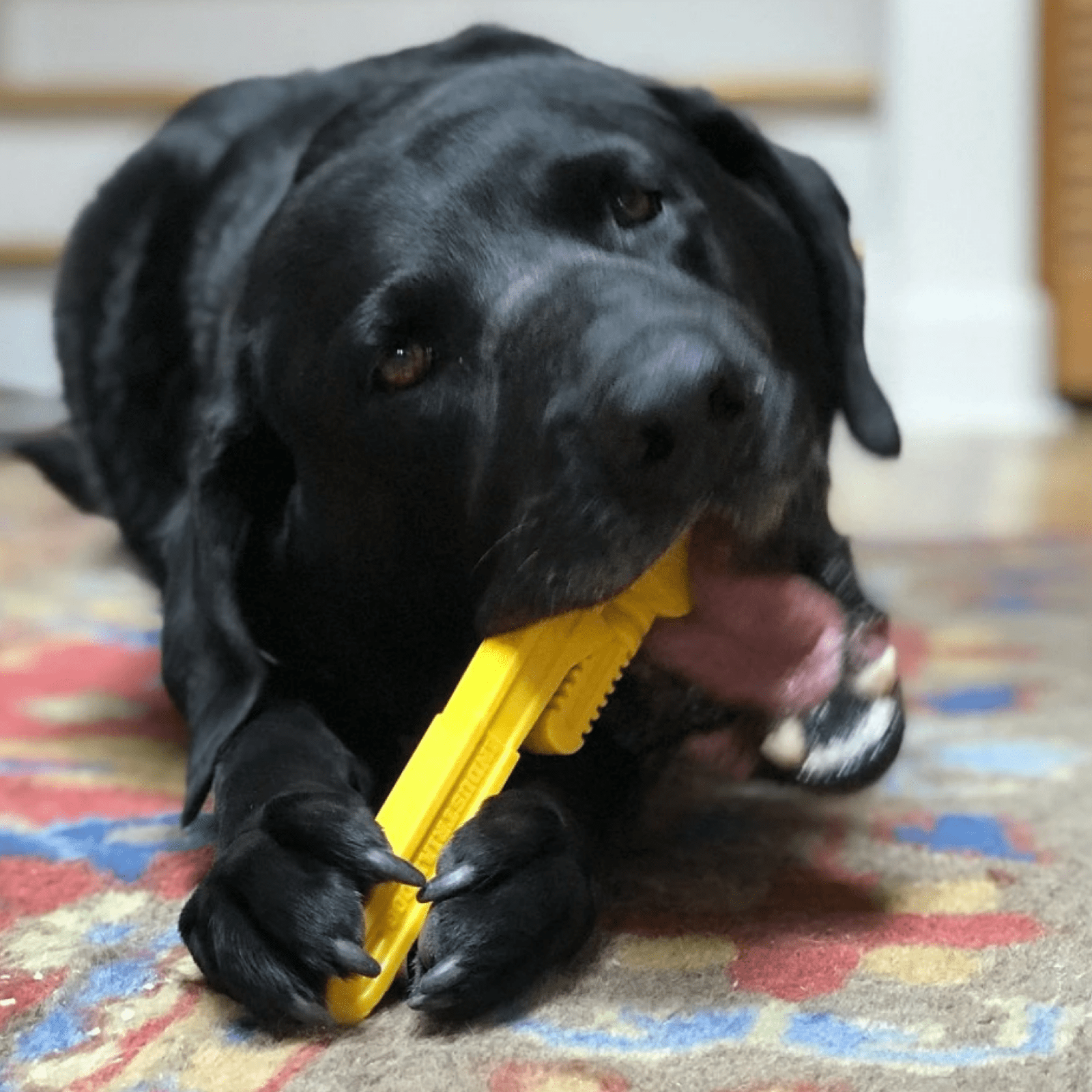 Nylon Pipe Wrench-Dog Toy-Rover Pet Products