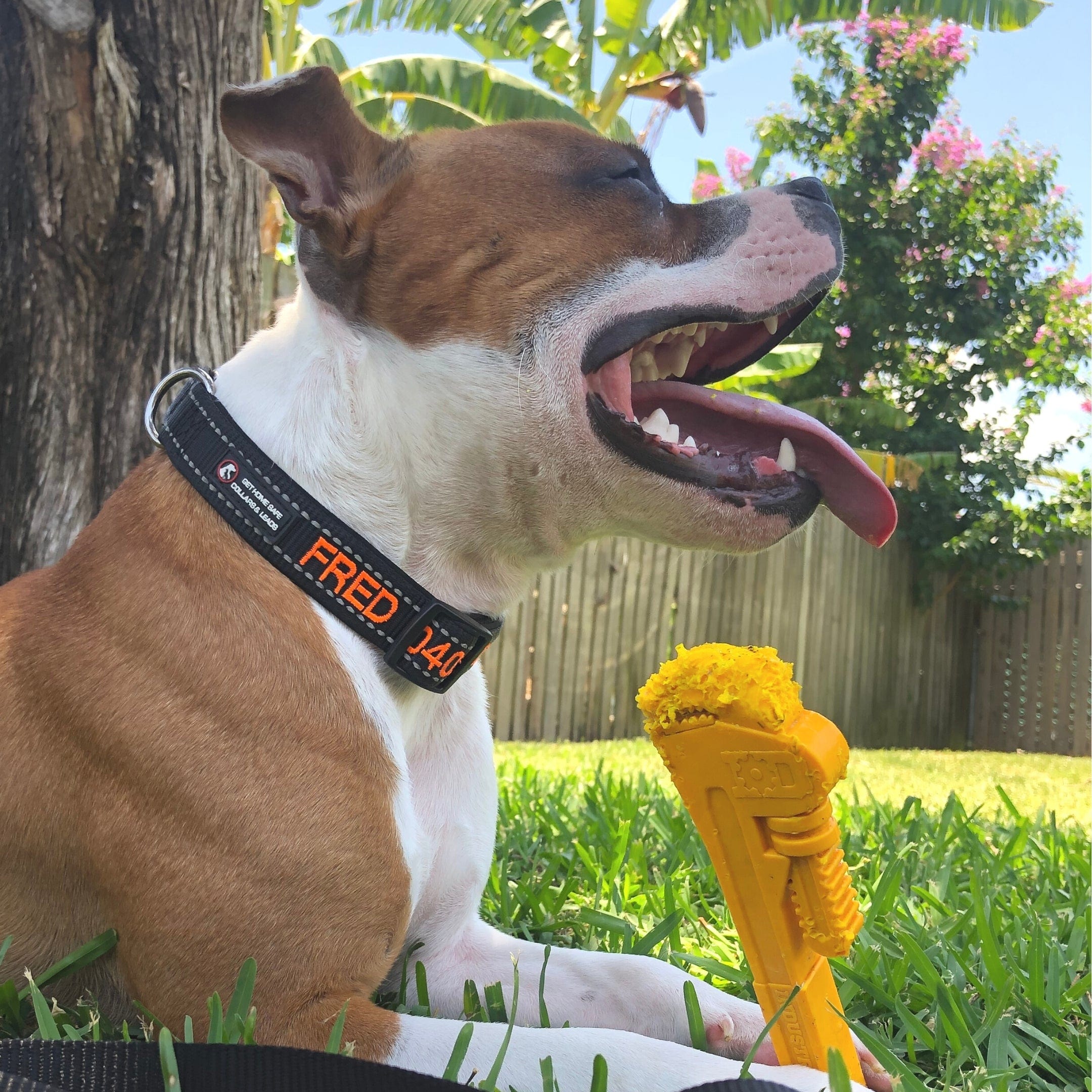 Nylon Pipe Wrench-Dog Toy-Rover Pet Products