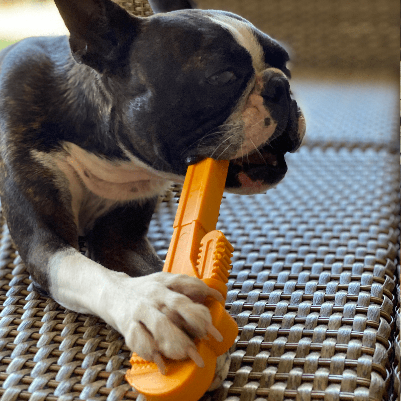 Nylon Pipe Wrench-Dog Toy-Rover Pet Products