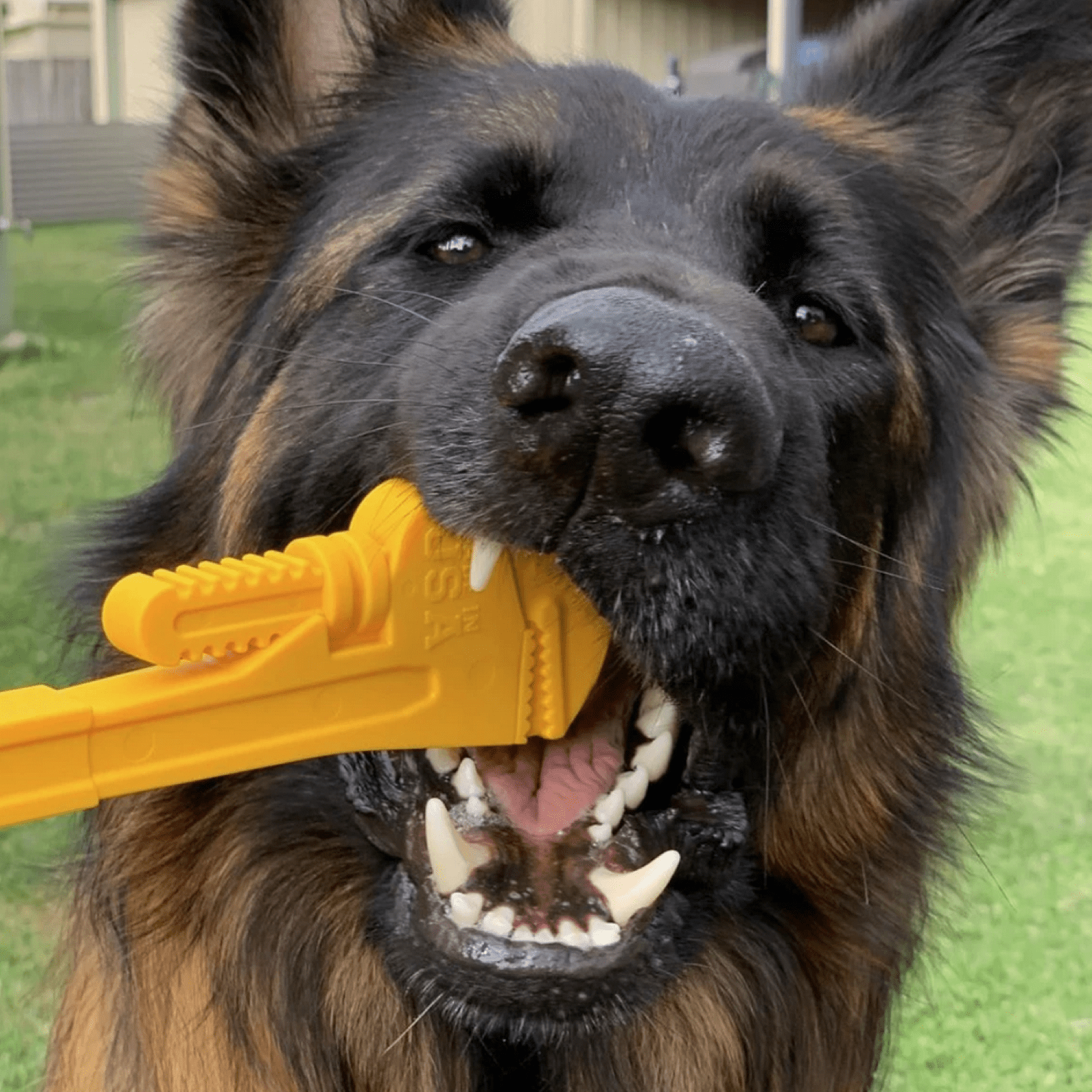 Nylon Pipe Wrench-Dog Toy-Rover Pet Products