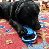 Nylon Pull Tab-Dog Toy-Rover Pet Products