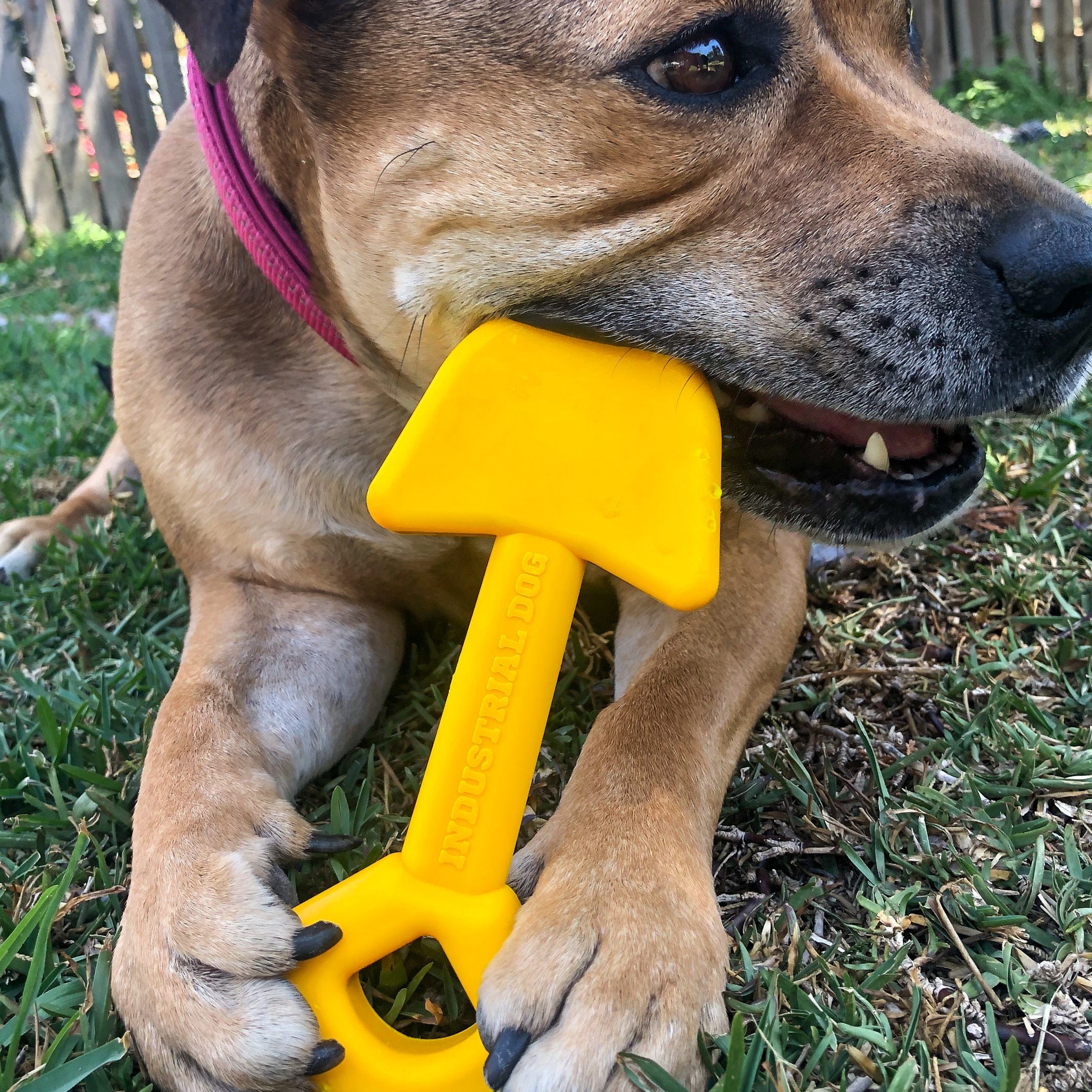 Nylon Shovel-Dog Toy-Rover Pet Products