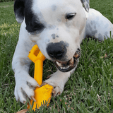 Nylon Shovel-Dog Toy-Rover Pet Products