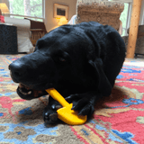 Nylon Shovel-Dog Toy-Rover Pet Products