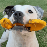 Nylon Shovel-Dog Toy-Rover Pet Products
