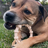 Nylon Teething Ring Dog Toy-Dog Toy-Rover Pet Products