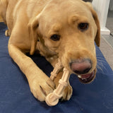 Nylon Teething Ring Dog Toy-Dog Toy-Rover Pet Products