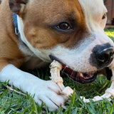 Nylon Teething Ring Dog Toy-Dog Toy-Rover Pet Products