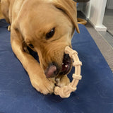 Nylon Teething Ring Dog Toy-Dog Toy-Rover Pet Products