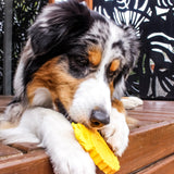 Nylon Tractor-Dog Toy-Rover Pet Products