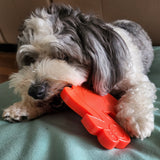 Nylon Turkey-Dog Toy-Rover Pet Products