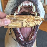 On The Trot - Pig Trotters-Unclassified-Rover Pet Products