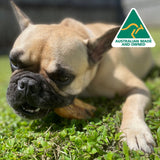 On The Trot - Pig Trotters-Unclassified-Rover Pet Products