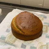 Pawty Cake-Rover Pet Products