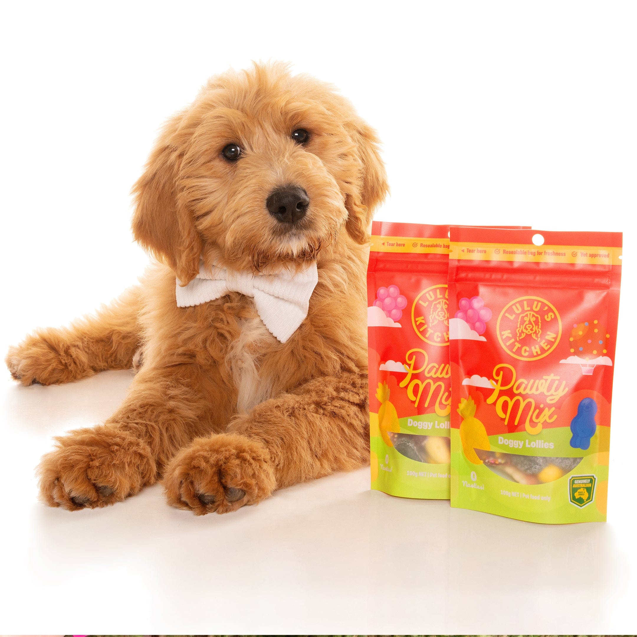 Pawty Mix-Rover Pet Products