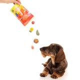 Pawty Mix-Rover Pet Products