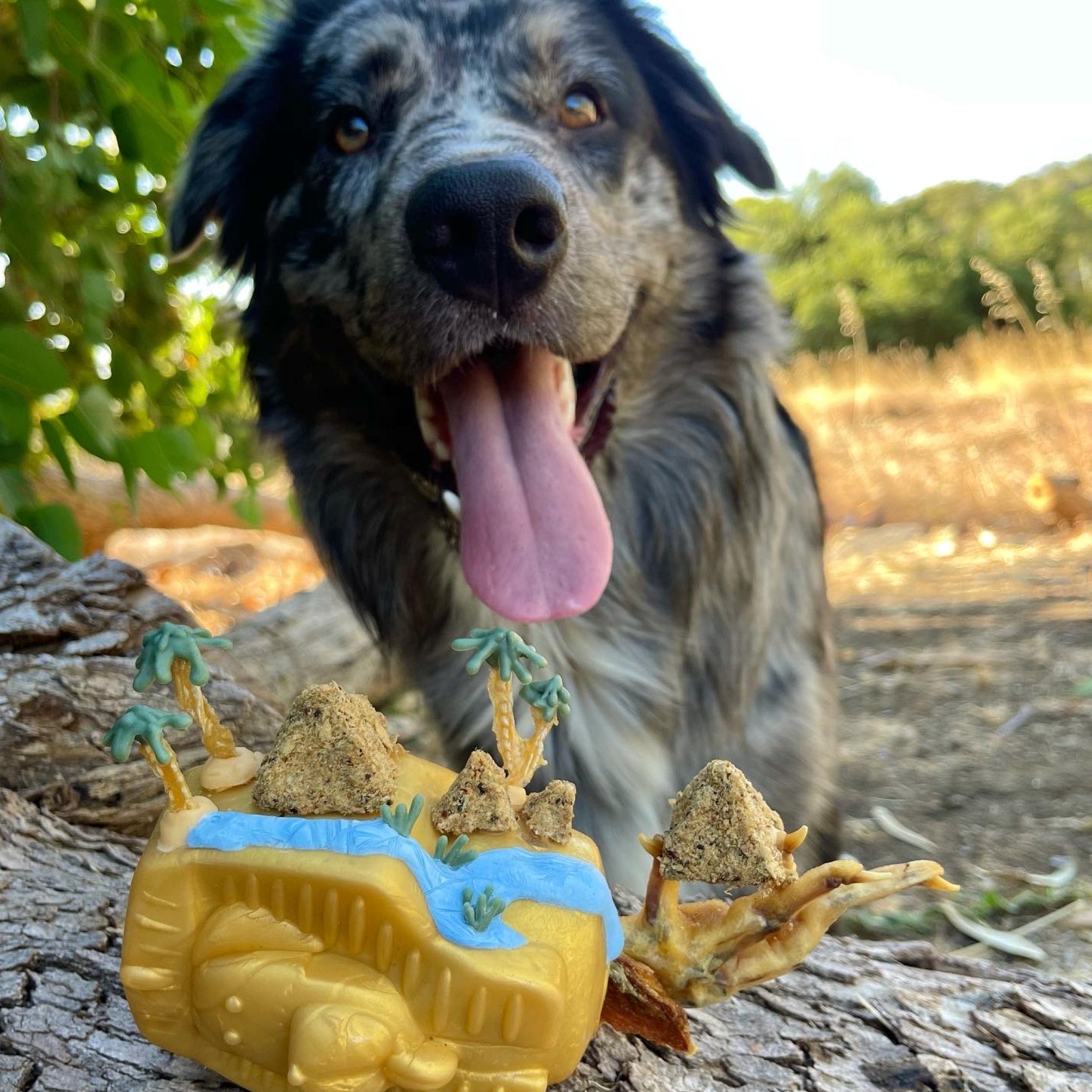 Pharoah-Dog Toy-Rover Pet Products