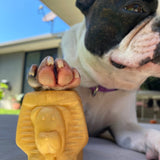 Pharoah-Dog Toy-Rover Pet Products