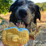 Pharoah-Dog Toy-Rover Pet Products
