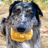 Pharoah-Dog Toy-Rover Pet Products