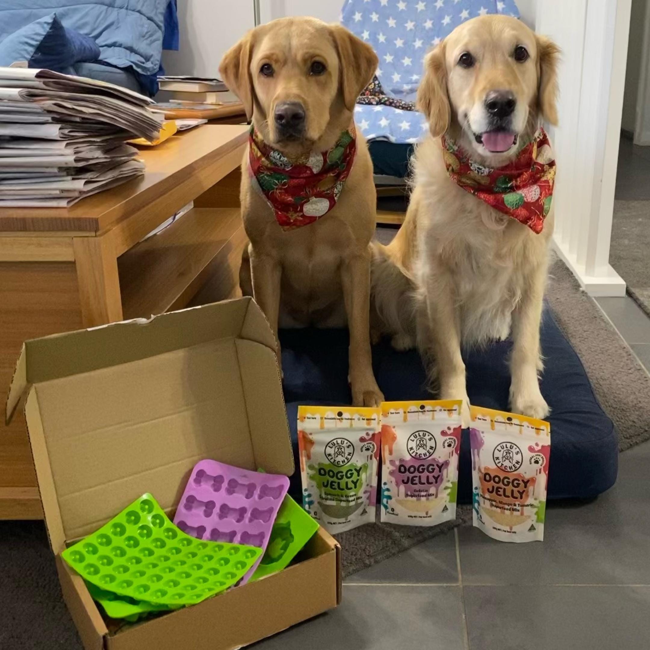 Pineapple, Mango & Tumeric Jelly Superfood Jelly-Doggy Jelly-Rover Pet Products