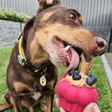 Pink Cupcake-Dog Toy-Rover Pet Products