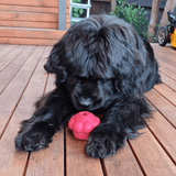 Pink Cupcake-Dog Toy-Rover Pet Products