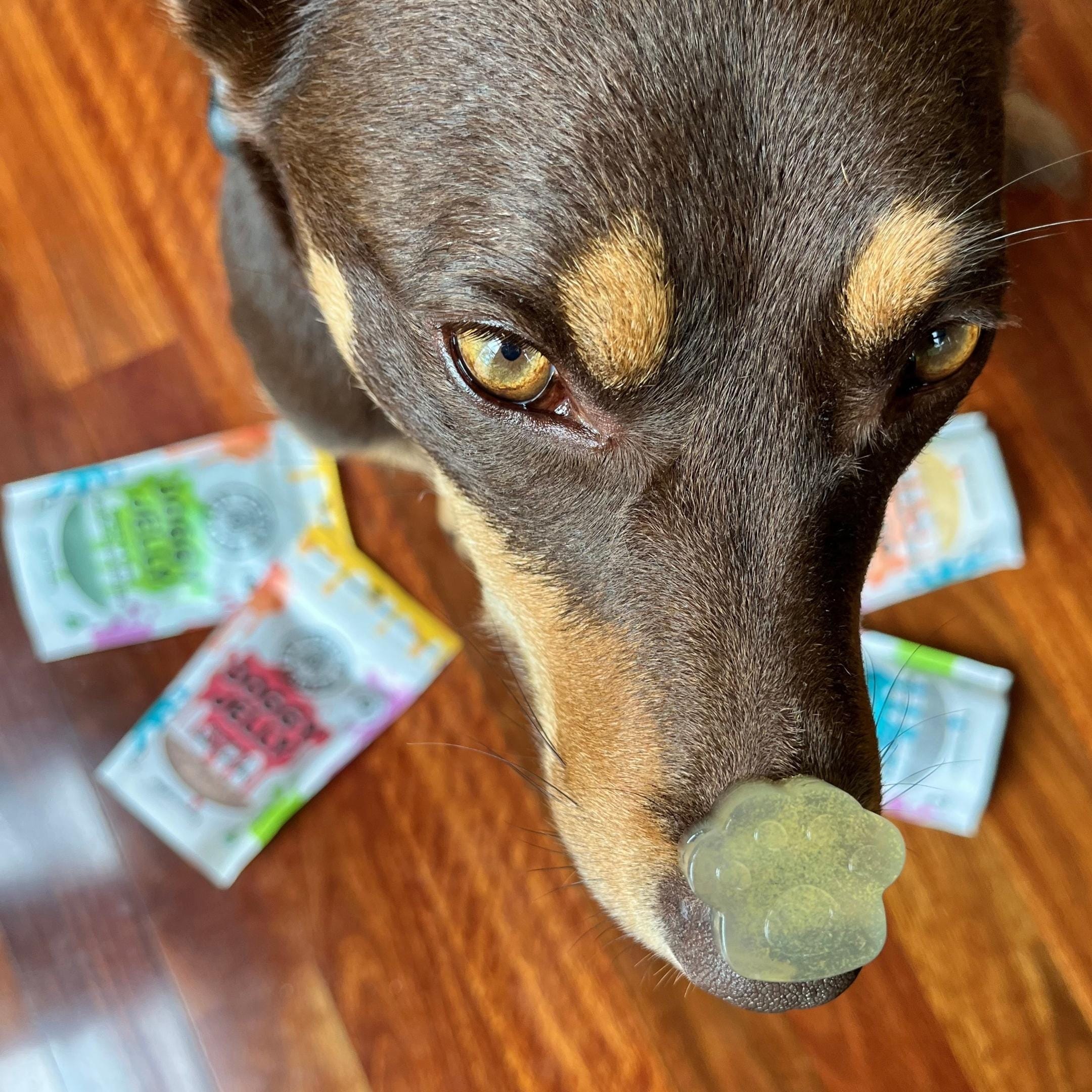 Plain Superfood Jelly-Doggy Jelly-Rover Pet Products