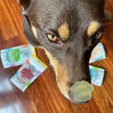 Plain Superfood Jelly-Doggy Jelly-Rover Pet Products