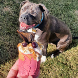 Puppy Can Toy - for soft gums and teething puppies.-Dog Toy-Rover Pet Products