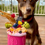 Puppy Can Toy - for soft gums and teething puppies.-Dog Toy-Rover Pet Products