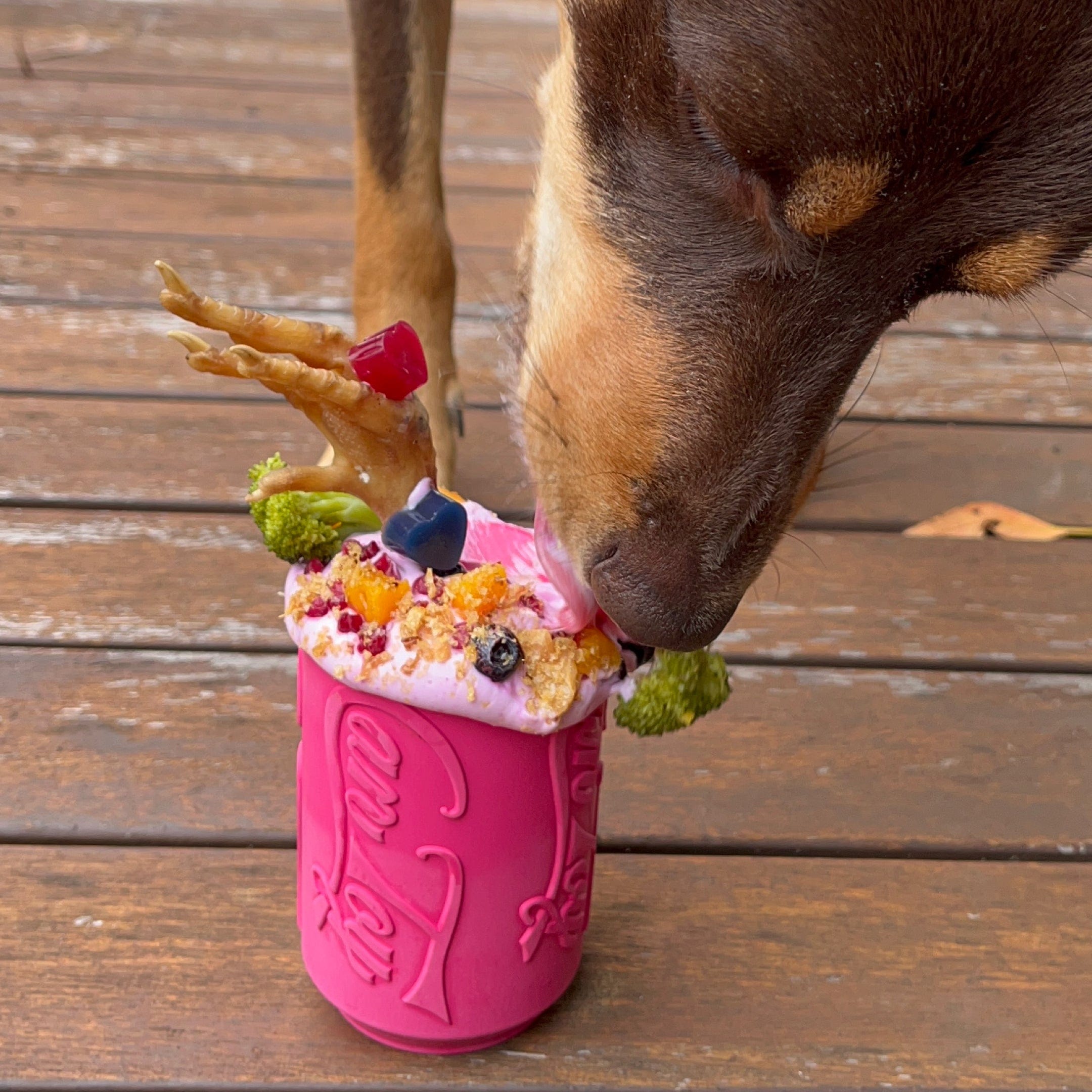 Puppy Can Toy - for soft gums and teething puppies.-Dog Toy-Rover Pet Products