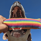 Rainbow Firehose-Unclassified-Rover Pet Products