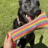 Rainbow Firehose-Unclassified-Rover Pet Products