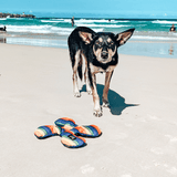 Rainbow Lucky Dog Star-Rover Pet Products