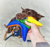 Rainbow Stanley The Starfish-Rover Pet Products