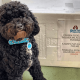 Raw Chicken-Rover Pet Products