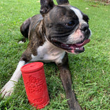 Retro Sodacan-Dog Toy-Rover Pet Products