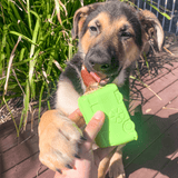 Retro Van-Dog Toy-Rover Pet Products