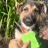 Retro Van-Dog Toy-Rover Pet Products