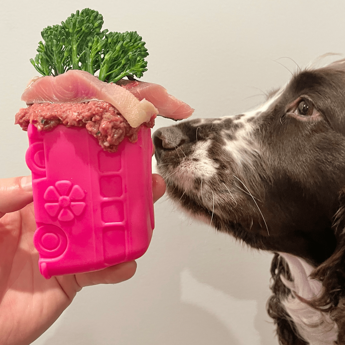 Retro Van-Dog Toy-Rover Pet Products