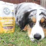 Roast Chicken Dinner - Chicken Breast Jerky-Dog Treat-Rover Pet Products