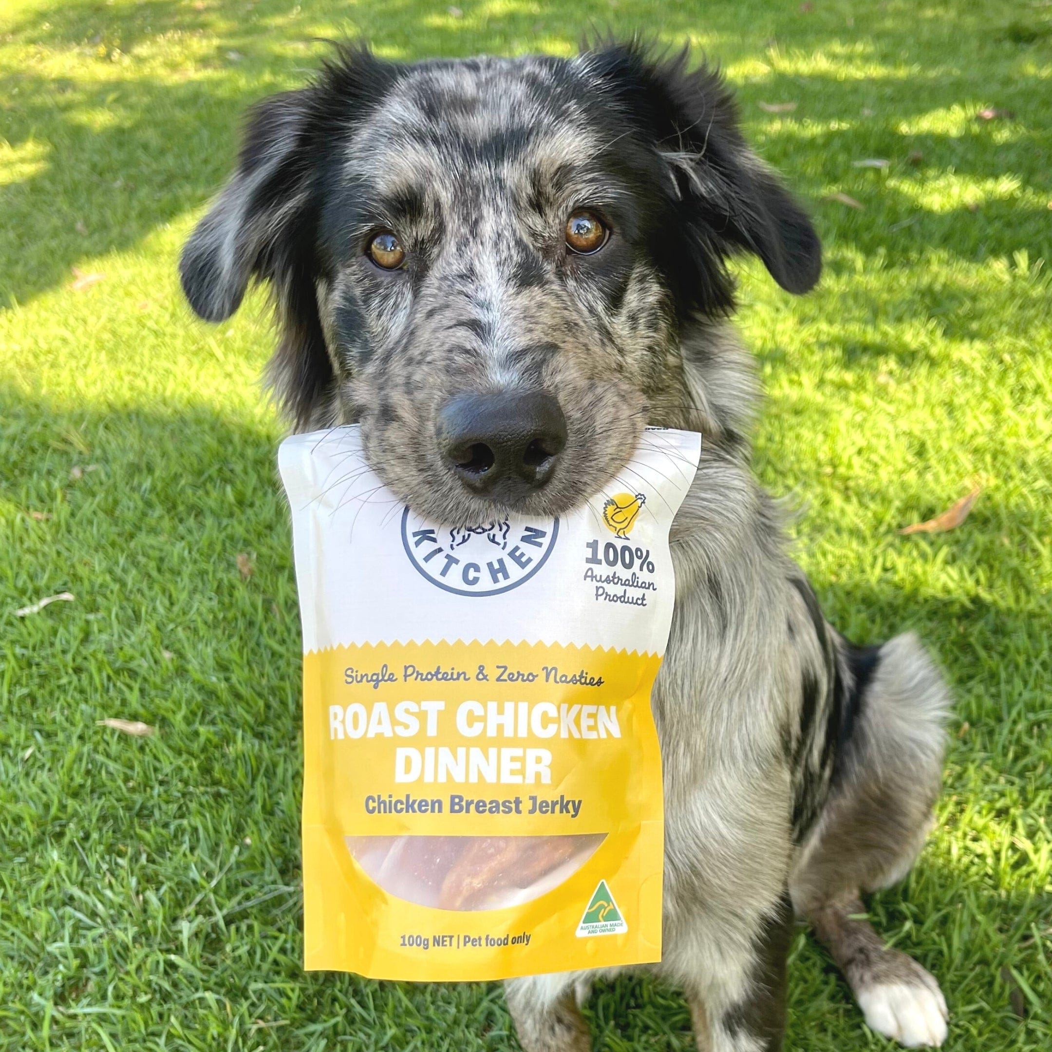 Roast Chicken Dinner - Chicken Breast Jerky-Dog Treat-Rover Pet Products