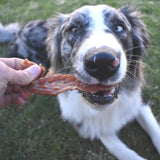 Roast Chicken Dinner - Chicken Breast Jerky-Dog Treat-Rover Pet Products