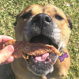 Roast Chicken Dinner - Chicken Breast Jerky-Dog Treat-Rover Pet Products