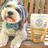 Roast Chicken Dinner - Chicken Breast Jerky-Dog Treat-Rover Pet Products