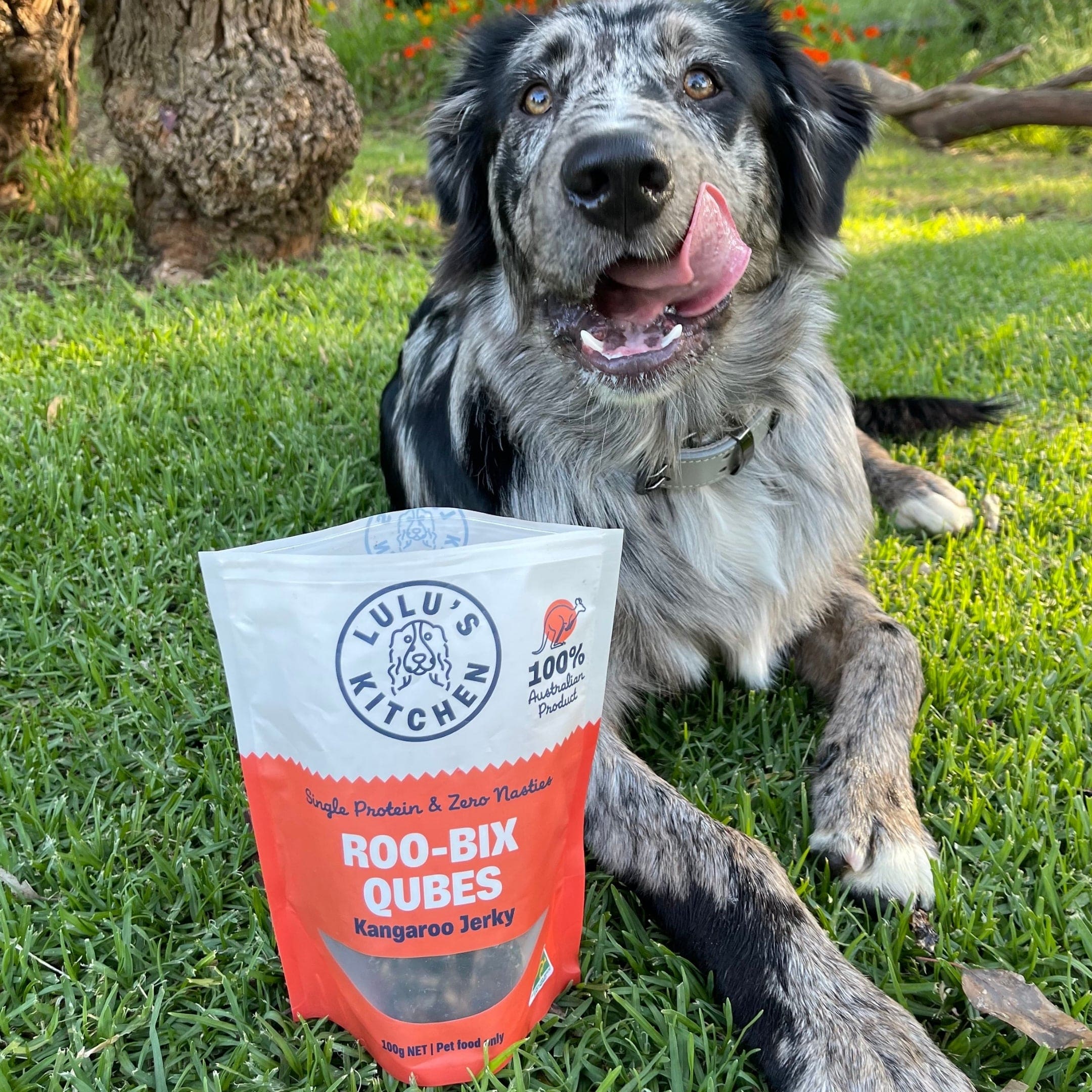 Roo-Bix Qubes - Kangaroo Jerky-Dog Treat-Rover Pet Products